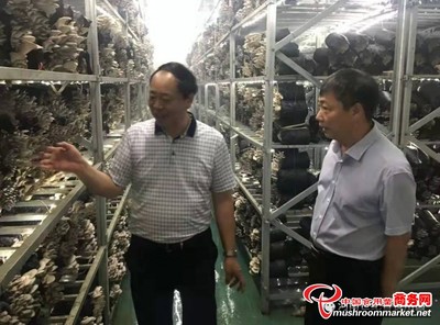 河南:许昌市区委常委、统战部部长郭森林到世纪香产业园调研
